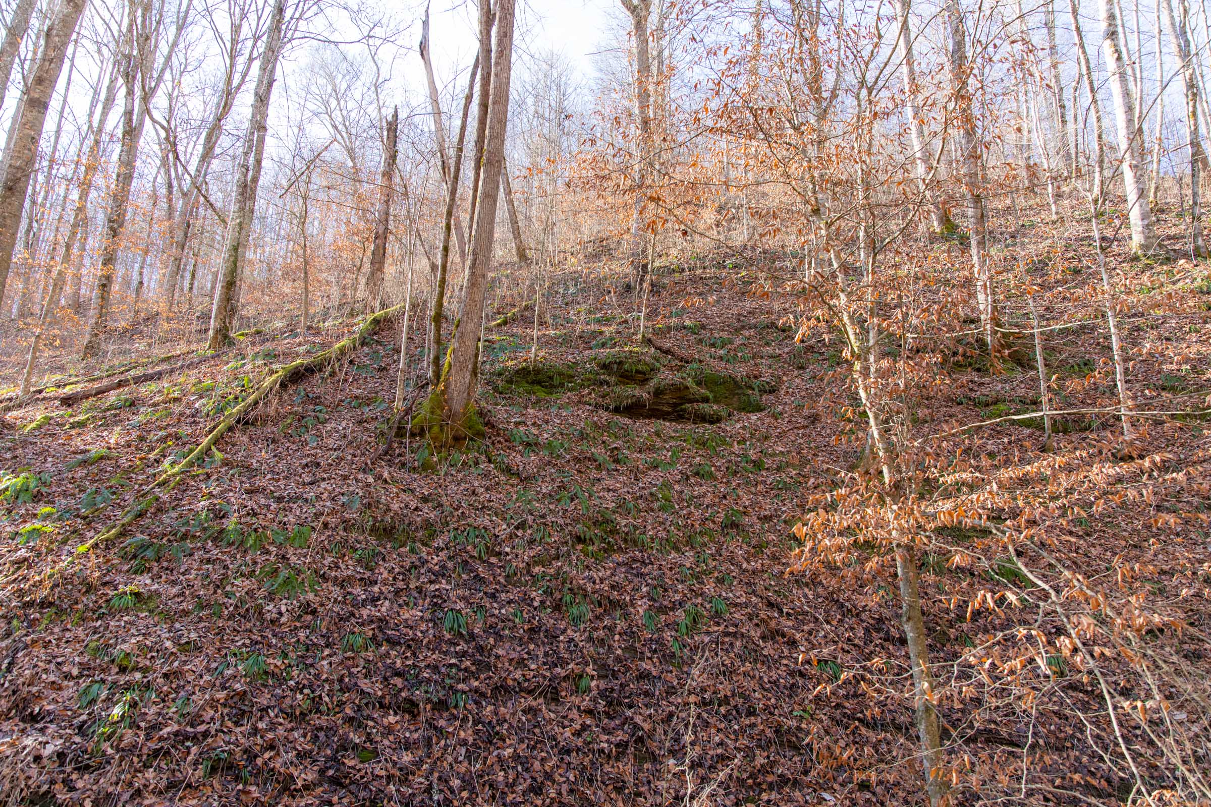 Tract 11 at Blackstone Mountain in Clay County, Kentucky