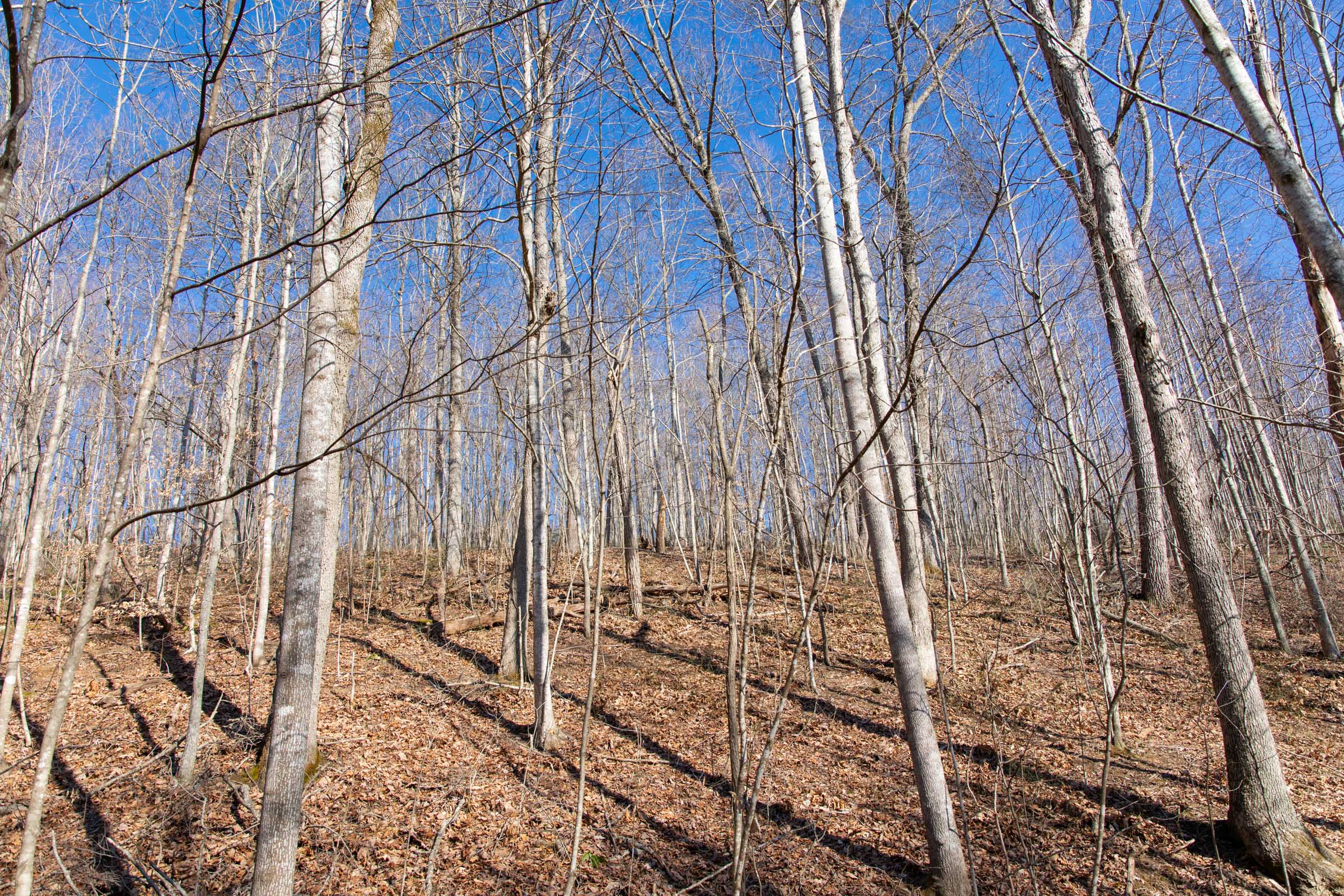 Tract 15 at Blackstone Mountain in Clay County, Kentucky