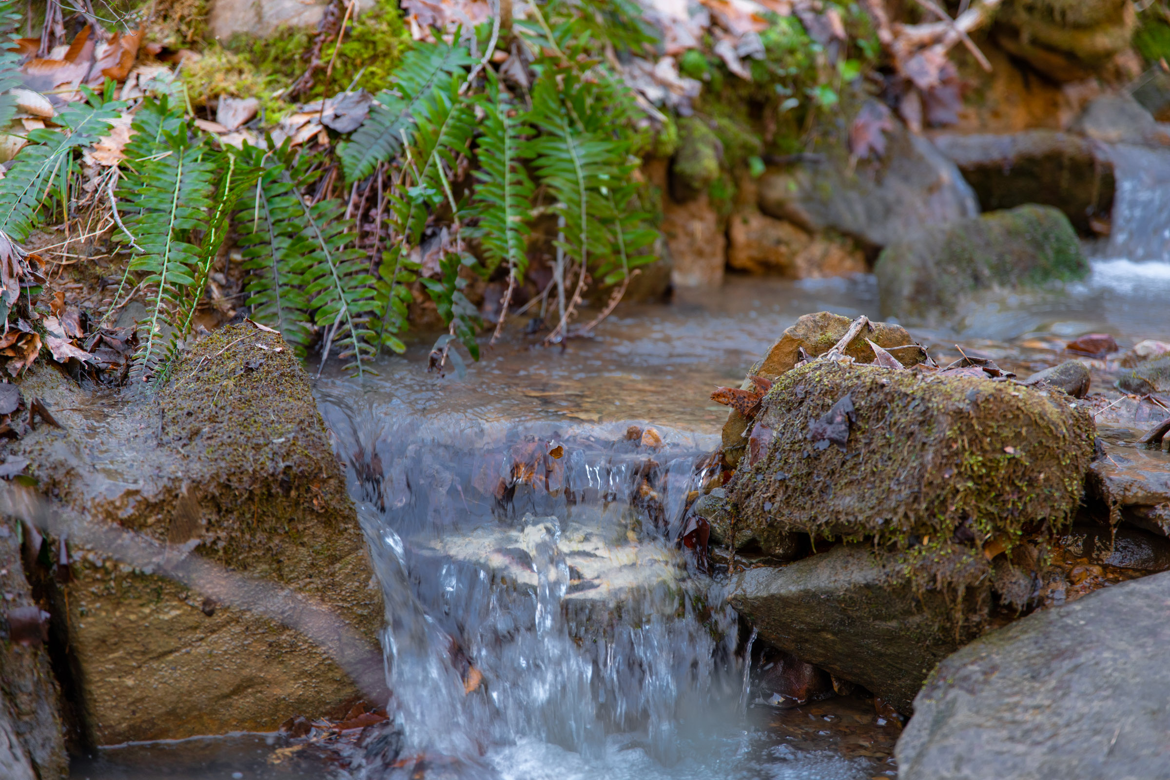 Tract 17 at Blackstone Mountain in Clay County, Kentucky