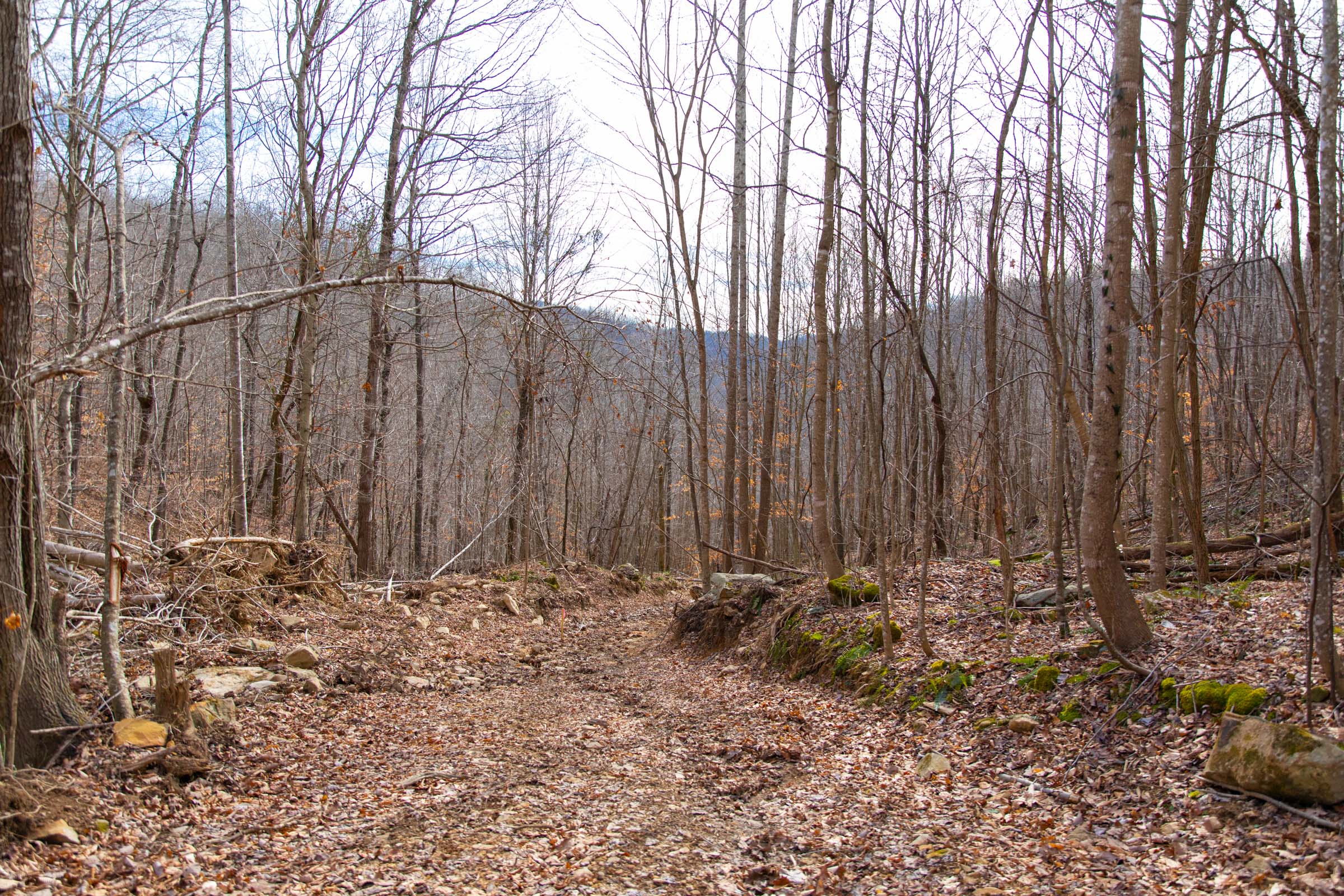 Tract 26 at Blackstone Mountain in Clay County, Kentucky