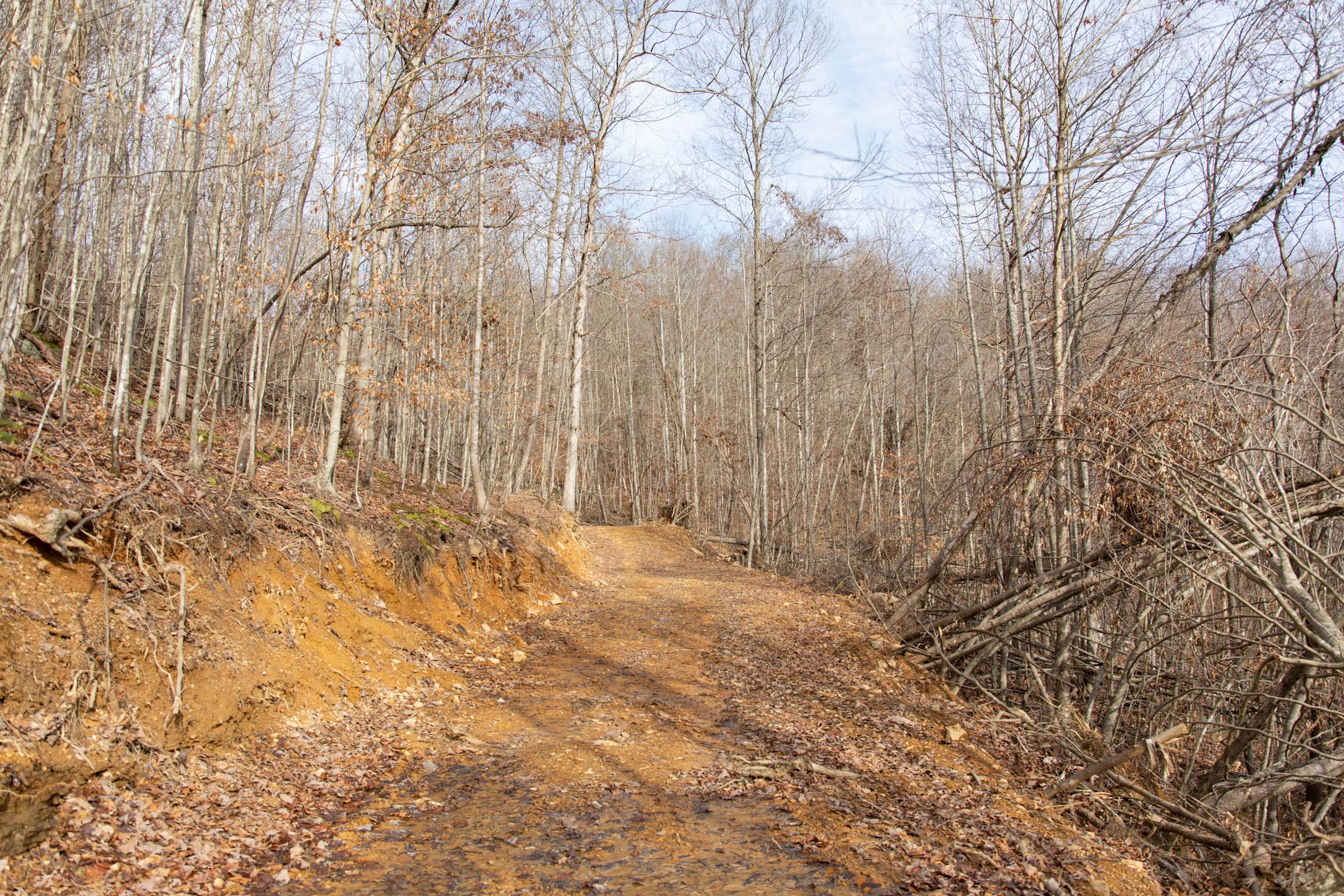 Tract 27 at Blackstone Mountain in Clay County, Kentucky