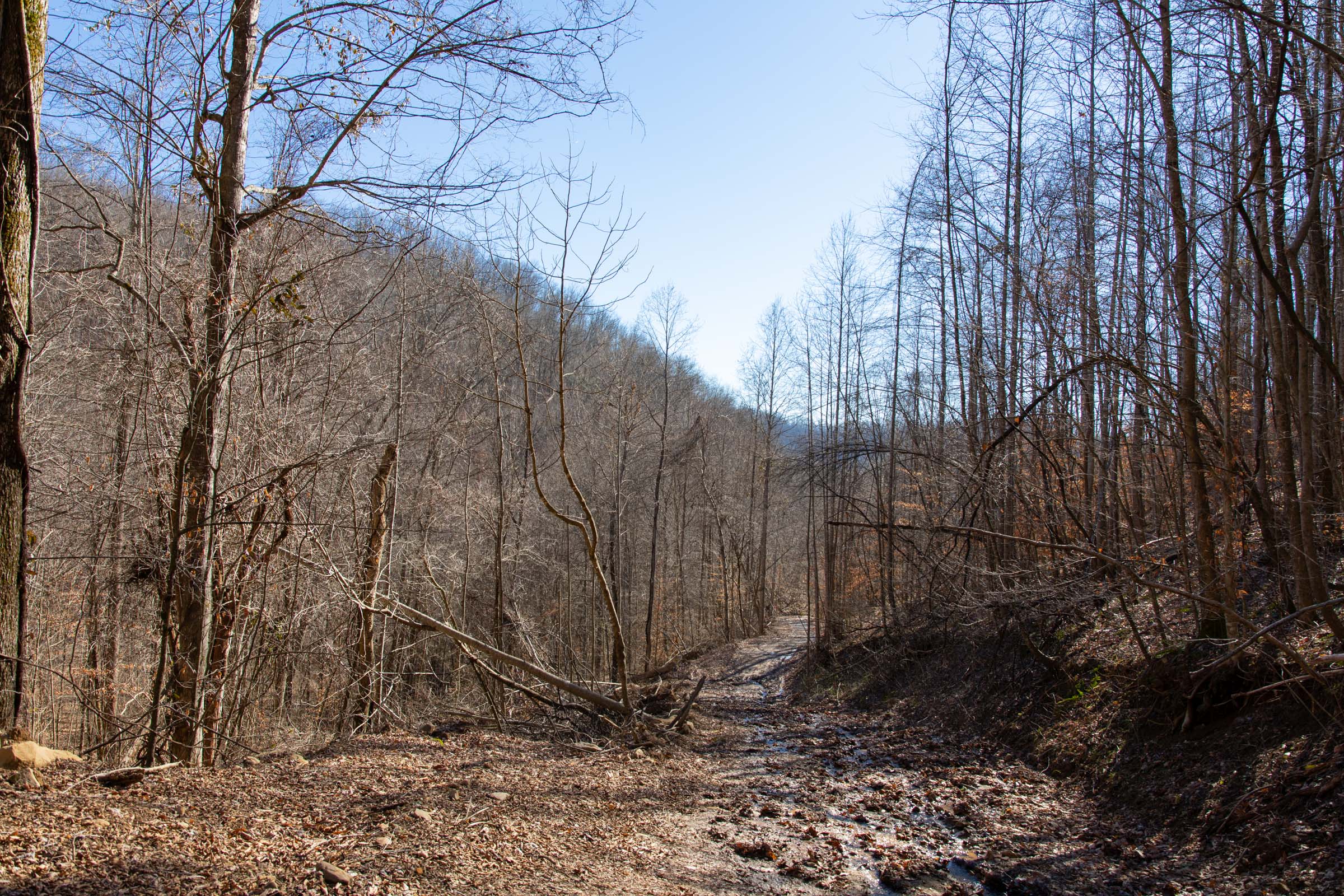 Tract 28 at Blackstone Mountain in Clay County, Kentucky