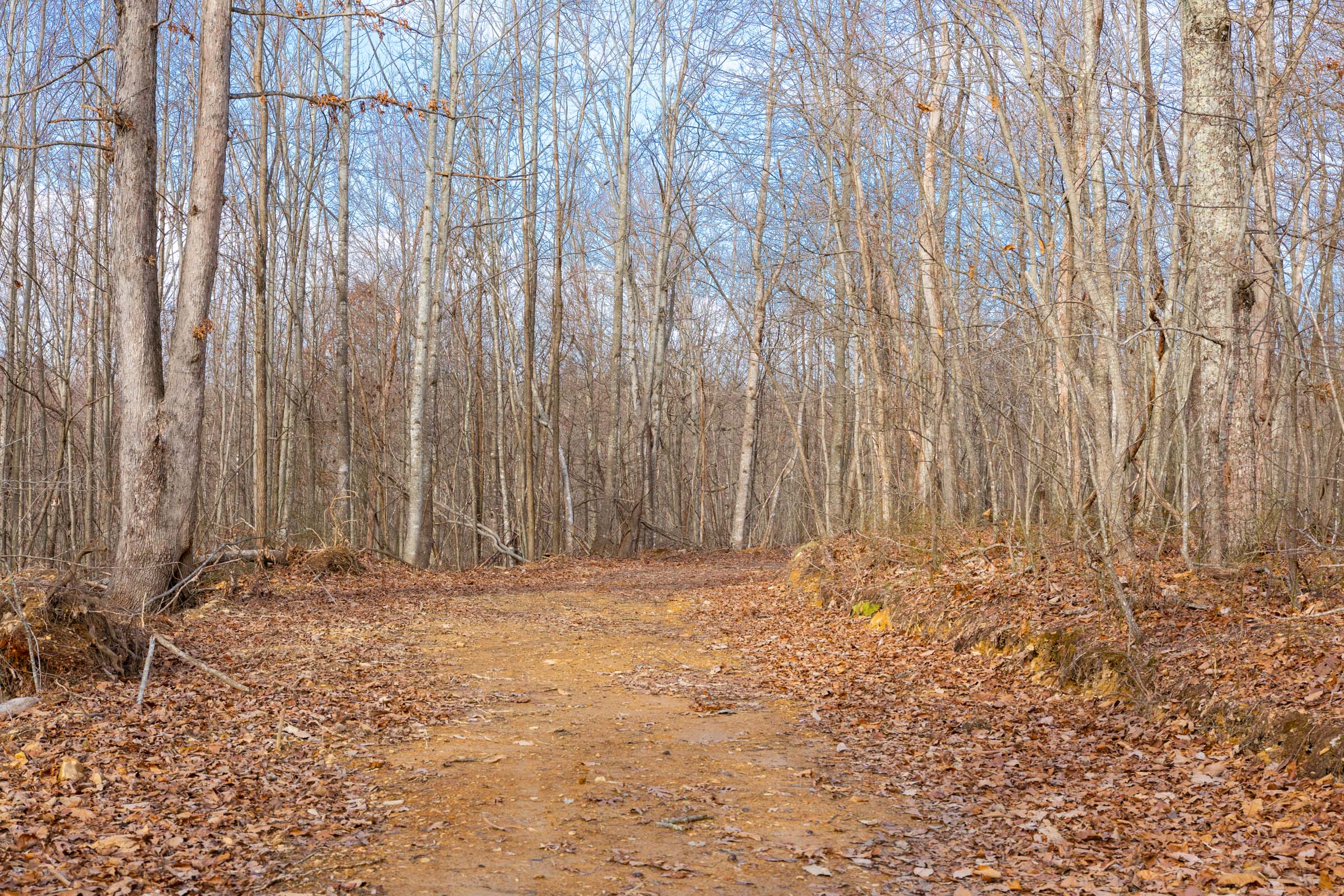 Tract 29 at Blackstone Mountain in Clay County, Kentucky