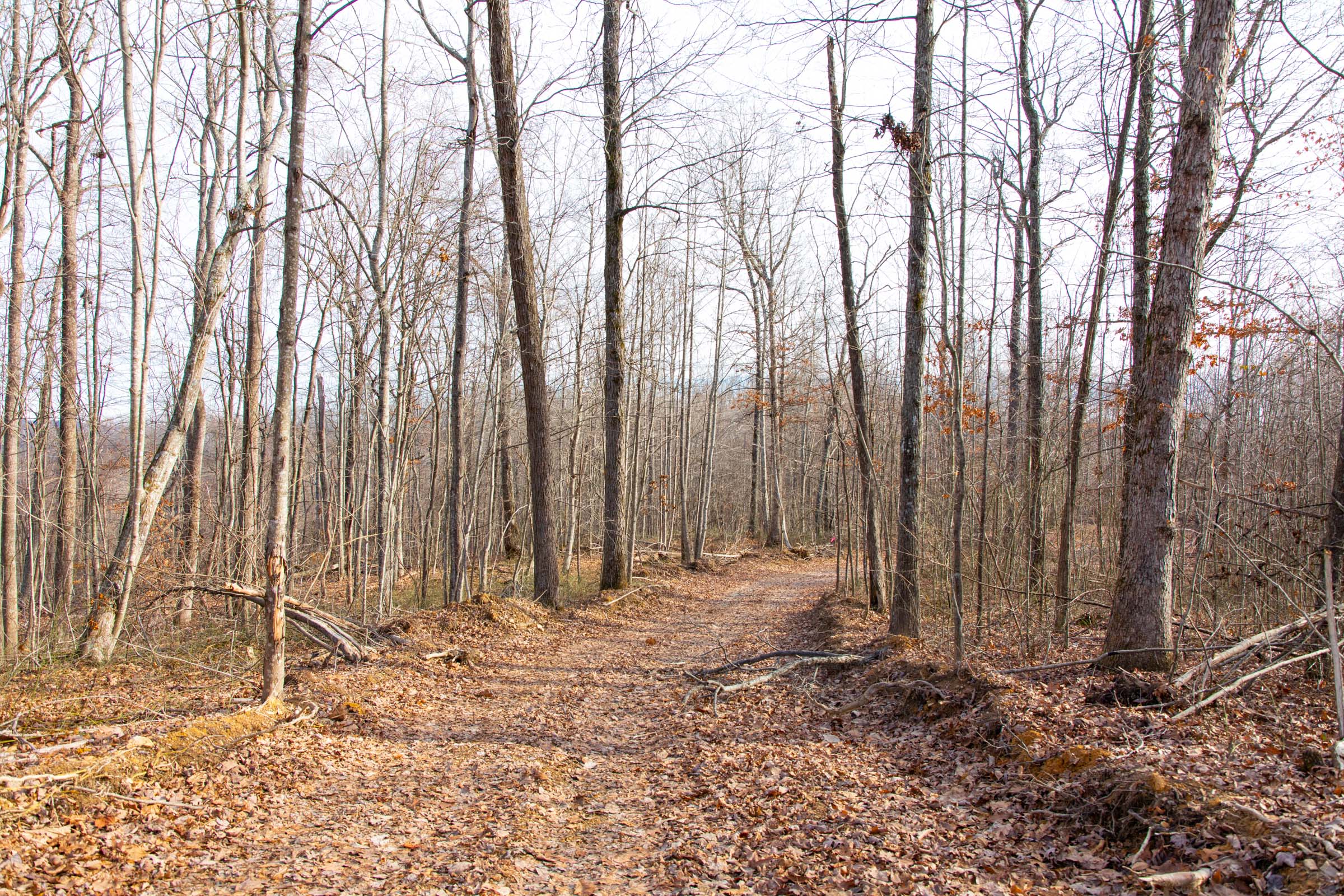 Tract 30 at Blackstone Mountain in Clay County, Kentucky