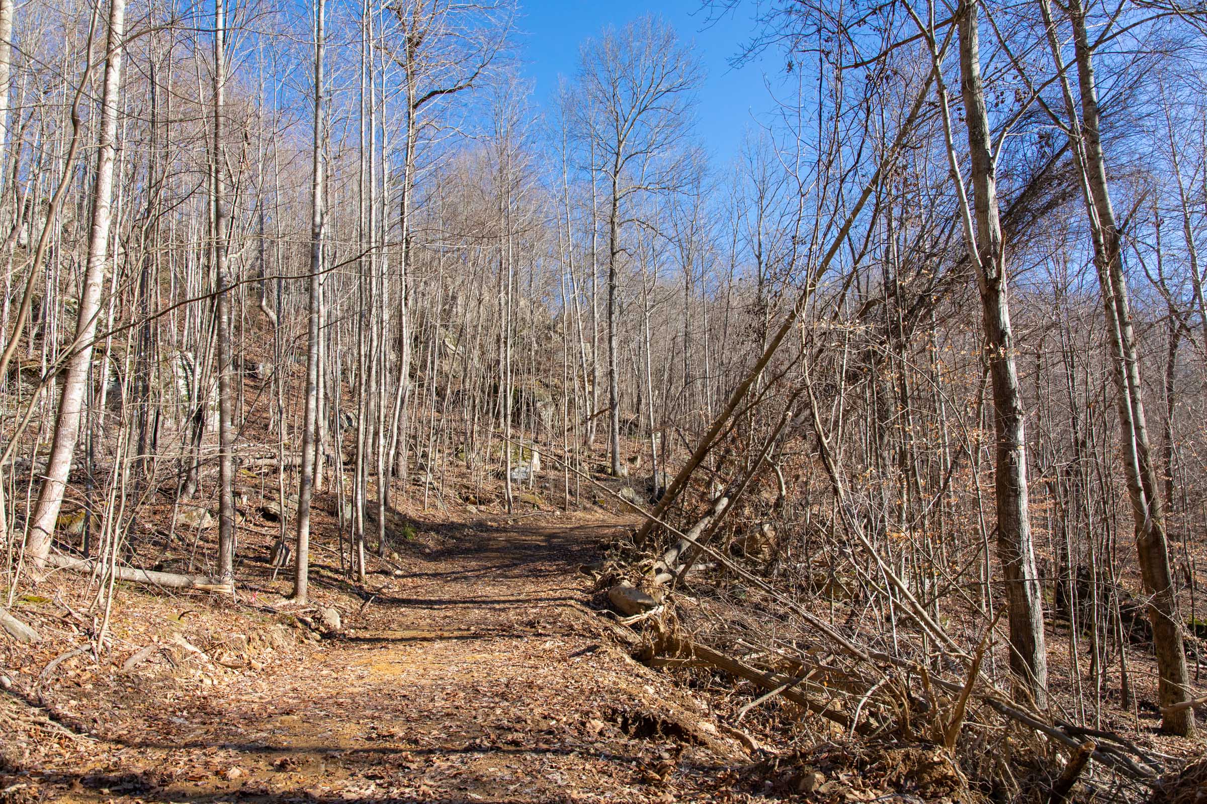 Tract 48 at Blackstone Mountain in Clay County, Kentucky