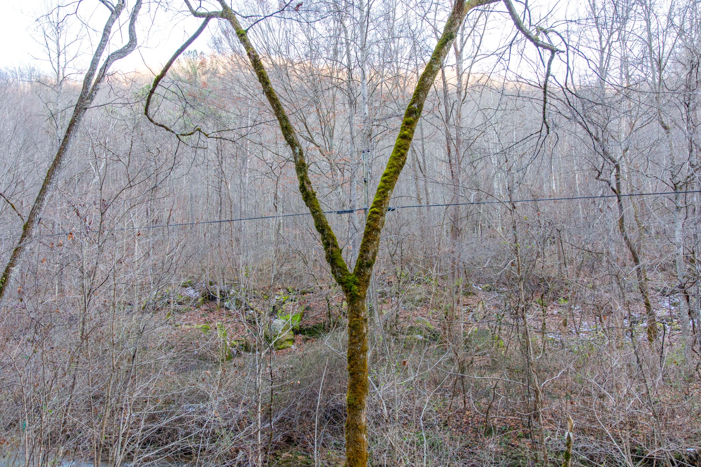 Tract 5 at Blackstone Mountain in Clay County, Kentucky