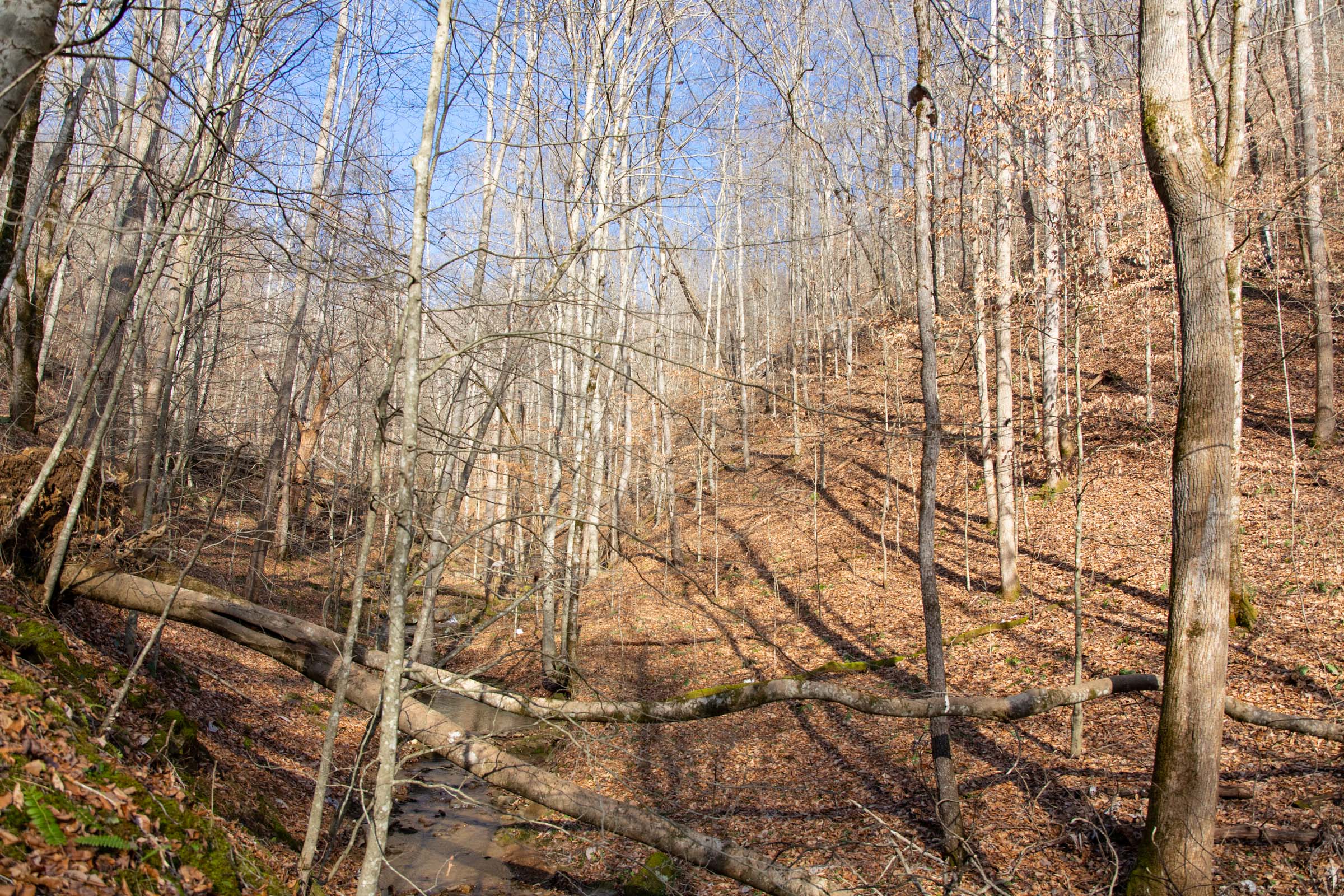 Tract 51 at Blackstone Mountain in Clay County, Kentucky