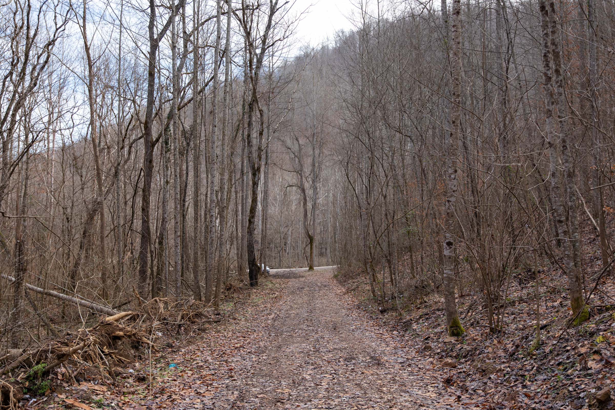 Tract 53 at Blackstone Mountain in Clay County, Kentucky