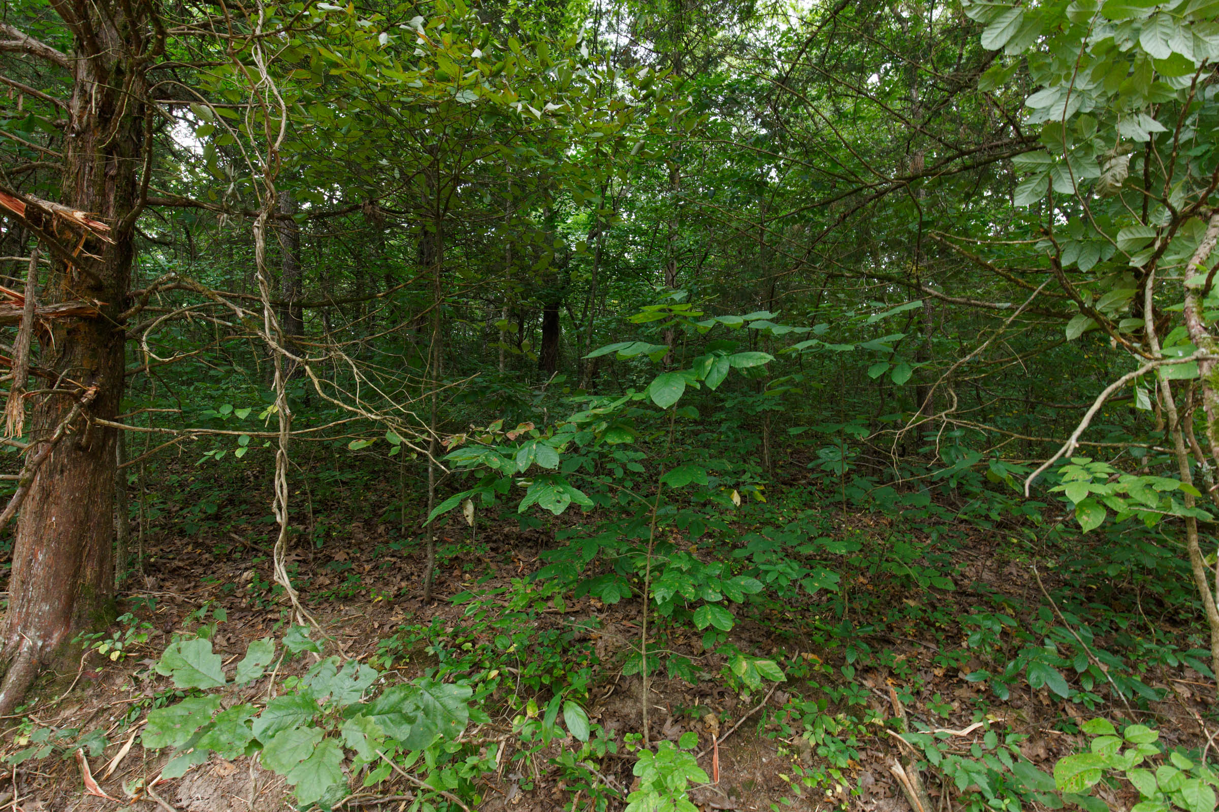 Tract 59 at Springlake in Miller County, Missouri