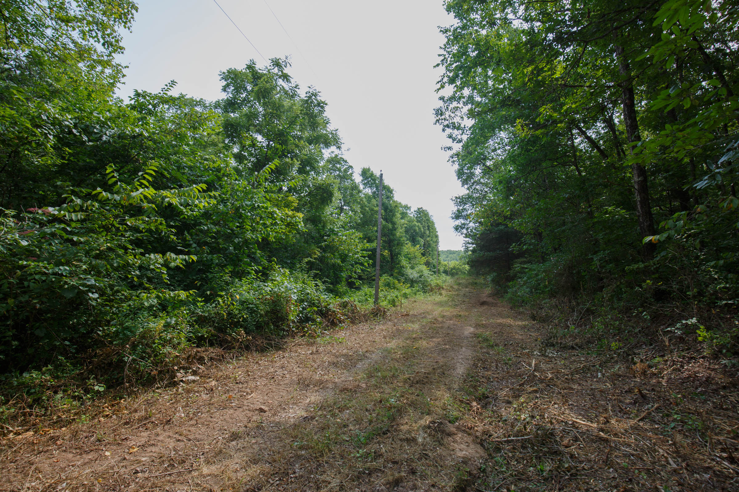 Tract 66 at Springlake in Miller County, Missouri