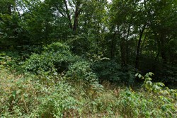property photo for Springlake Plat 4 Tract 89, 0.2 acres for sale in Miller County, Missouri